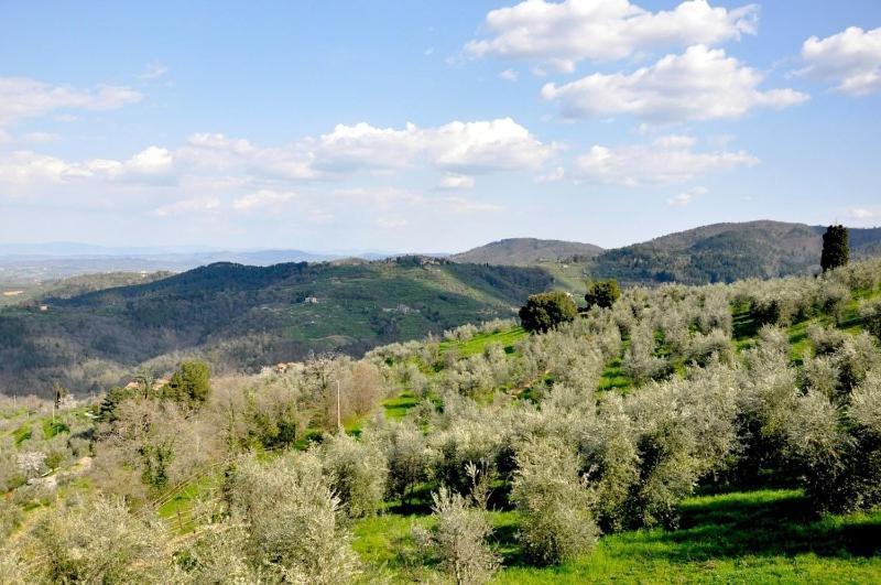 Agriturismo La Forra Cavriglia Cameră foto